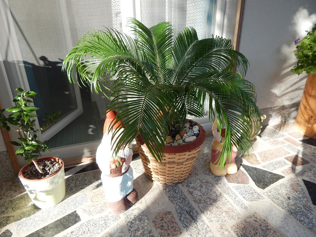 & Marinka Apartament Zadar