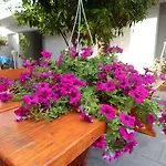 Apartments & Rooms Marinka