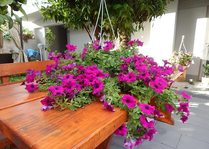Apartments & Rooms Marinka